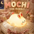 Mochi the Rabbit